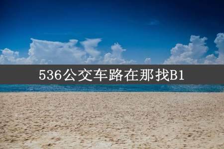 536公交车路在那找B1