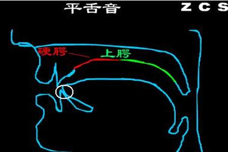 卷舌和平舌的区别口诀