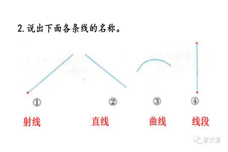 从一点出发可以画出无数条射线。对吗