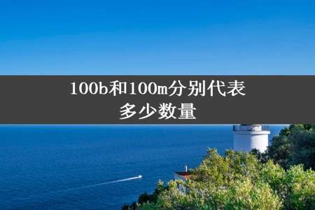 100b和100m分别代表多少数量