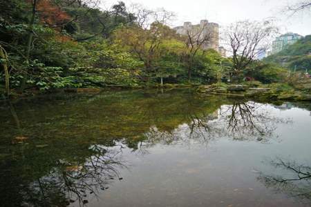 用树木茂盛山清水秀蒙蒙细雨写一处景色