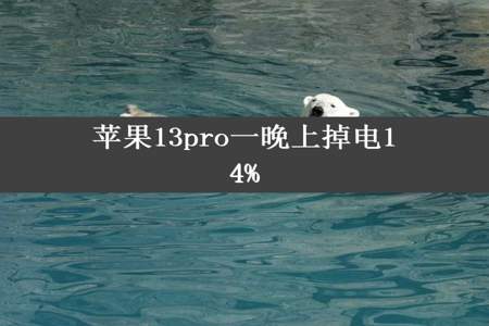 苹果13pro一晚上掉电14%