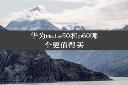 华为mate50和p60哪个更值得买