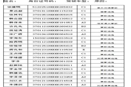 B2驾照被吊销时间到了还能考B2照吗