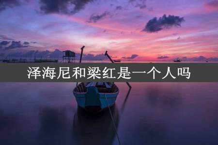 泽海尼和梁红是一个人吗