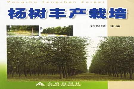 杨树栽培技术