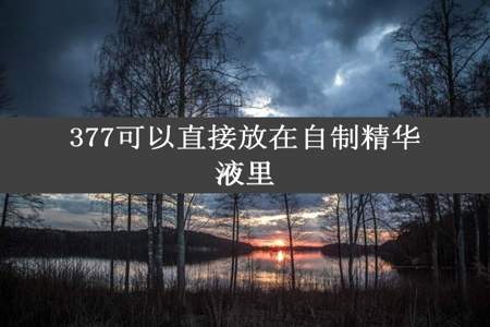 377可以直接放在自制精华液里