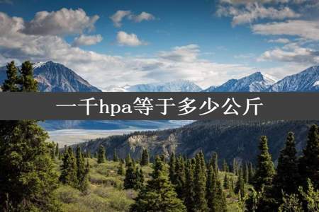 一千hpa等于多少公斤