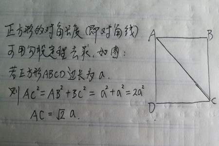 正方形加两条对角线一共有多少个角