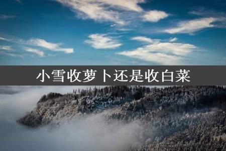 小雪收萝卜还是收白菜