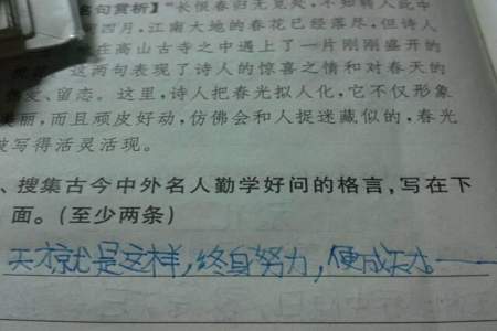 关于勤学好问的名言