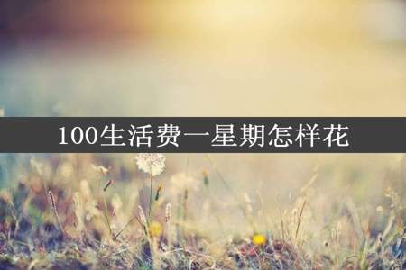 100生活费一星期怎样花