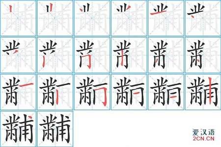 盆字的笔画顺序