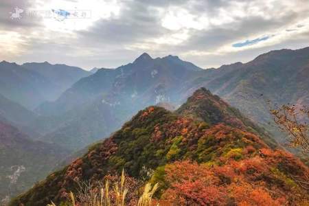 10月秦岭看红叶的地方