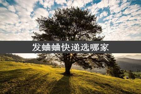 发蛐蛐快递选哪家