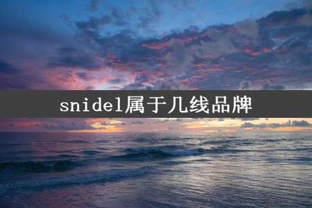 snidel属于几线品牌