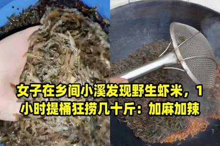 怎样在河里捞虾米