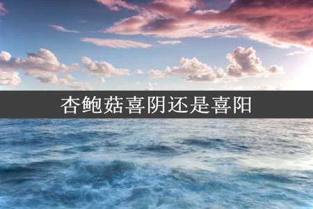 杏鲍菇喜阴还是喜阳