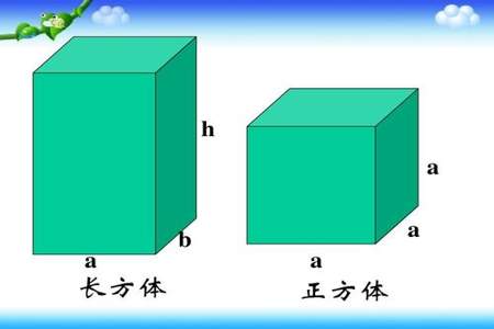 长方体和正方体属于