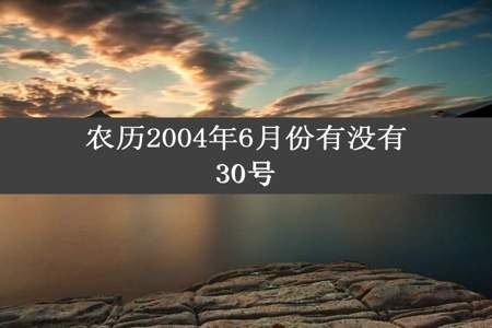 农历2004年6月份有没有30号