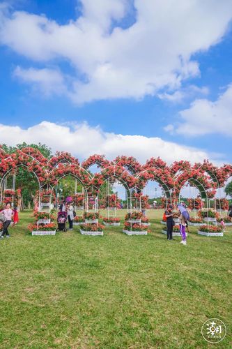 写花色鲜艳品种多可以用成语漫山遍野吗