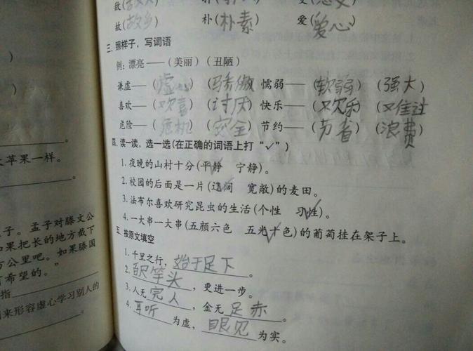 两个字都有相同点的词语