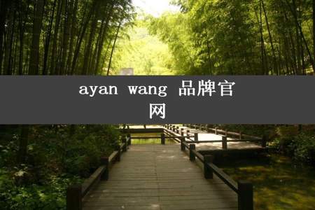 ayan wang 品牌官网