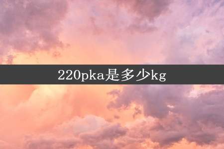220pka是多少kg