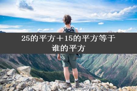 25的平方＋15的平方等于谁的平方