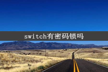 switch有密码锁吗