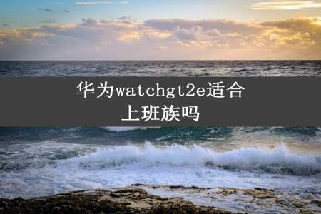 华为watchgt2e适合上班族吗