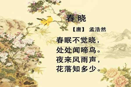 春晓诗句意思