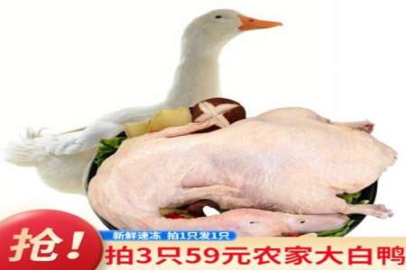 肉鸭子品种哪个比较好