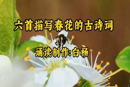 谁知道关于春花的诗句