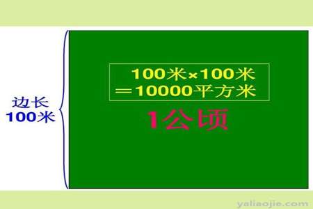 公顷和平方米之间的进率是100。对吗