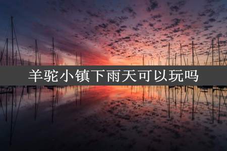 羊驼小镇下雨天可以玩吗