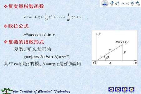 复数的辐角主值的概念