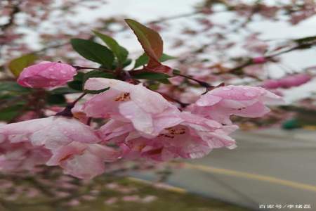 人间尽似逢花雨下联