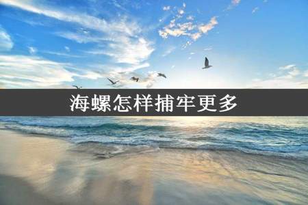 海螺怎样捕牢更多