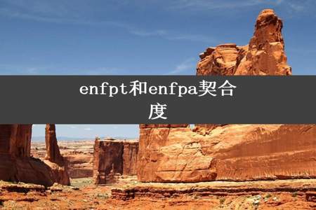 enfpt和enfpa契合度