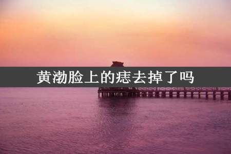 黄渤脸上的痣去掉了吗