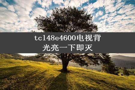 tcl48e4600电视背光亮一下即灭