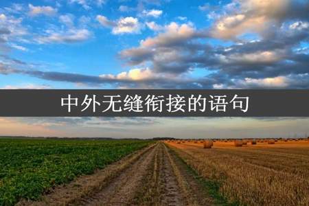 中外无缝衔接的语句