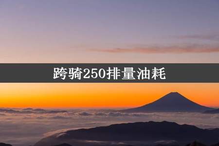 跨骑250排量油耗