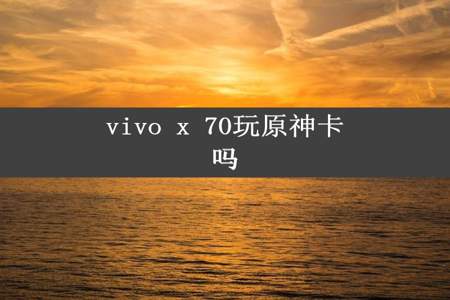 vivo x 70玩原神卡吗