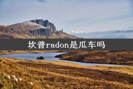 坎普radon是瓜车吗