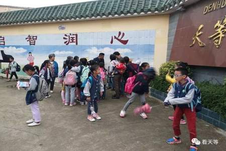 不会走的小孩儿可以上小学吗