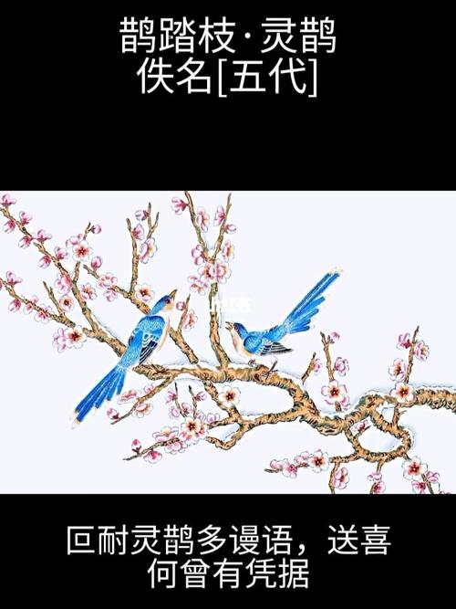 喜鹊后面填合适词语