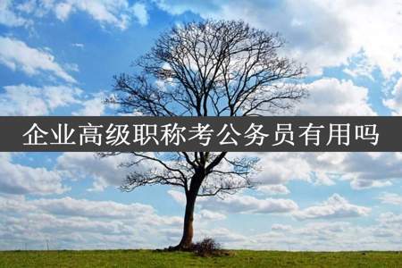 企业高级职称考公务员有用吗