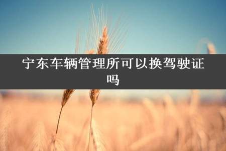 宁东车辆管理所可以换驾驶证吗